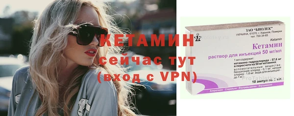 сатива Елизово
