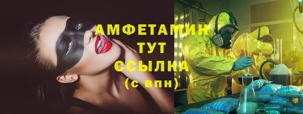сатива Елизово