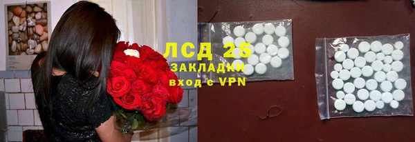 сатива Елизово