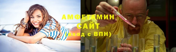 сатива Елизово
