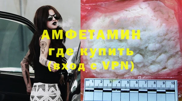 сатива Елизово