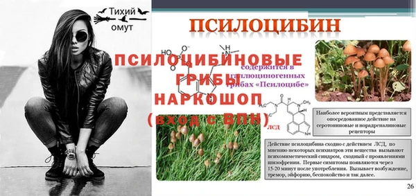сатива Елизово