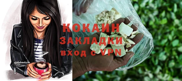 сатива Елизово