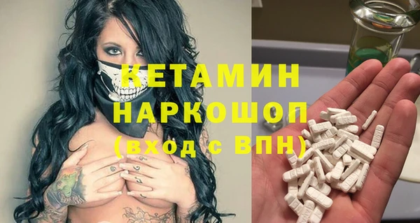 сатива Елизово