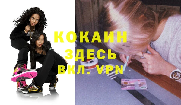 сатива Елизово